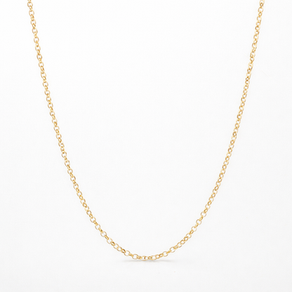 14k Gold 1.6mm Rolo Chain Necklace | Solid Gold | 18–24" Lengths