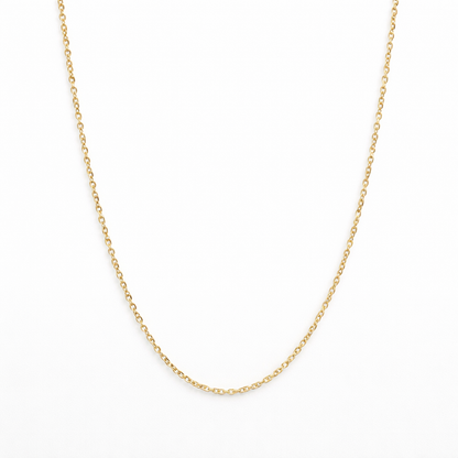 14k Yellow Gold Rolo Chain Necklace 0.35 Gauge (1.6mm) | 18"–24" Lengths